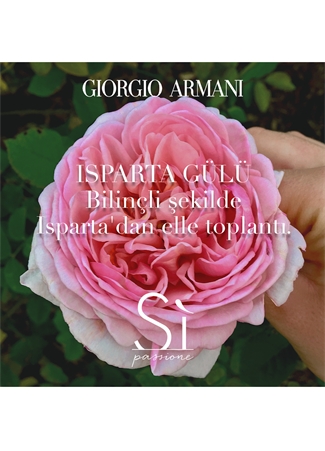 Armani Si Passione Eclat Edp 100 Ml Parfüm_6