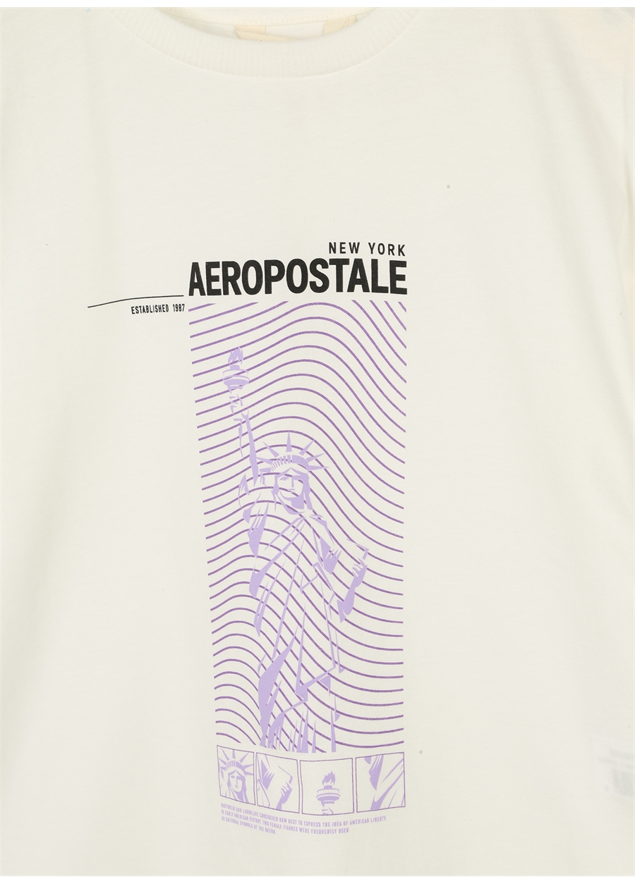 Aeropostale Ekru Erkek Çocuk Bisiklet Yaka Oversize Baskılı T-Shirt 23SAB-07_2