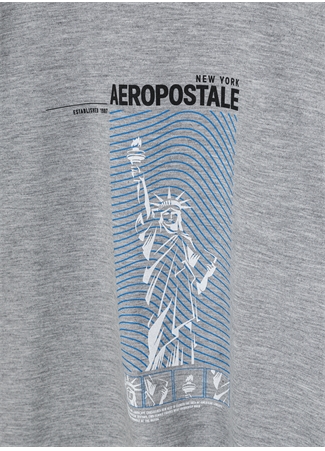 Aeropostale Baskılı Gri Melanj Erkek Çocuk T-Shirt 23SAB-07_1