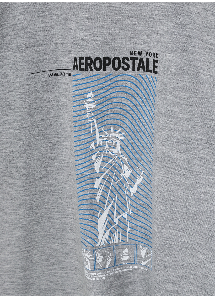 Aeropostale Baskılı Gri Melanj Erkek Çocuk T-Shirt 23SAB-07_1