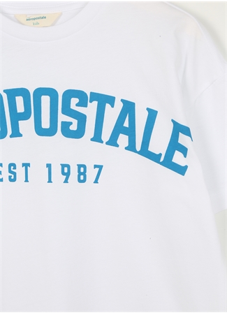 Aeropostale Ekru Erkek Çocuk Bisiklet Yaka Oversize Baskılı T-Shirt 23SAB-31_2