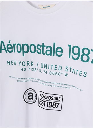 Aeropostale Ekru Erkek Çocuk Bisiklet Yaka Oversize Baskılı T-Shirt 23SAB-01_2