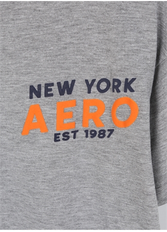 Aeropostale Baskılı Gri Melanj Erkek Çocuk T-Shirt 23SAB-46_2