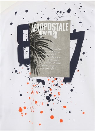 Aeropostale Ekru Erkek Çocuk Bisiklet Yaka Oversize Baskılı T-Shirt 23SAB-39_2