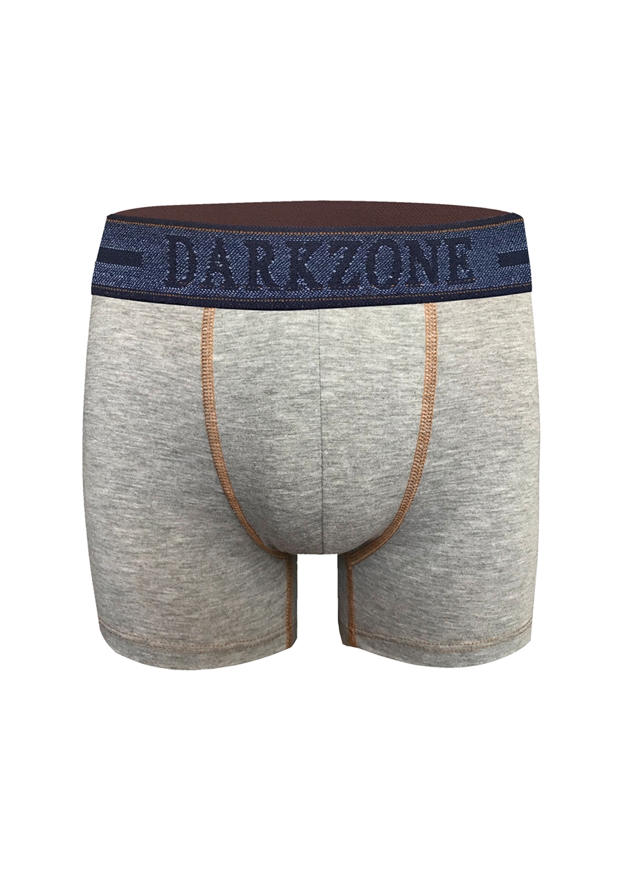 Darkzone Gri Erkek Boxer DZN2903