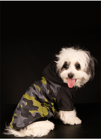 Pet valu dog on sale coats