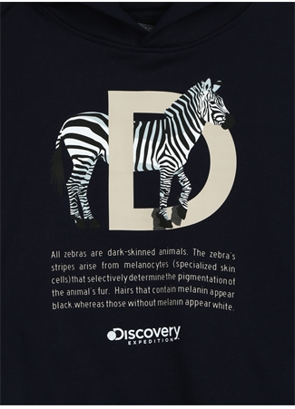 Discovery Expedition Erkek Çocuk Lacivert Sweatshırt D3WB-SWT26_2