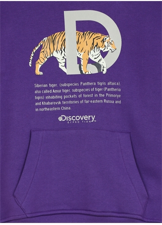 Discovery Expedition Mor Kız Çocuk Kapüşonlu Oversize Baskılı Sweatshirt D3WG-SWT26_2