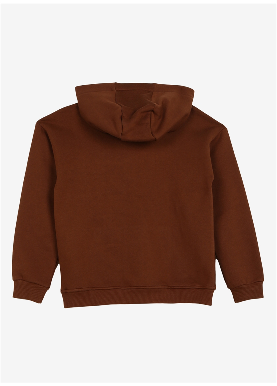 Discovery Expedition Kahve Kız Çocuk Kapüşonlu Baskılı Sweatshirt D3WG-SWT19_1