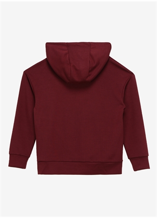 Discovery Expedition Mürdüm Erkek Çocuk Kapüşonlu Oversize Sweatshirt D3WB-SWT13_1