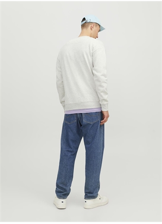 Jack & Jones Bisiklet Yaka Açık Gri Erkek Sweatshırt 12242366_JORSILVERLAKE SWEAT CREW N_3