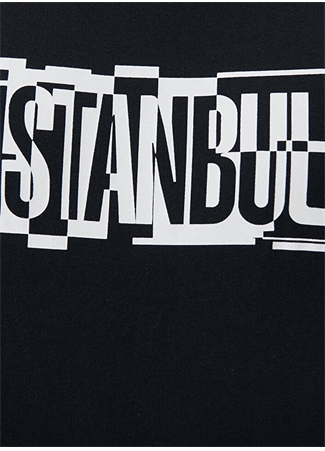 Mavi Düz Yaka Baskılı Siyah Erkek T-Shirt M0611789-900_İSTANBUL BASKI TİŞÖRT_5