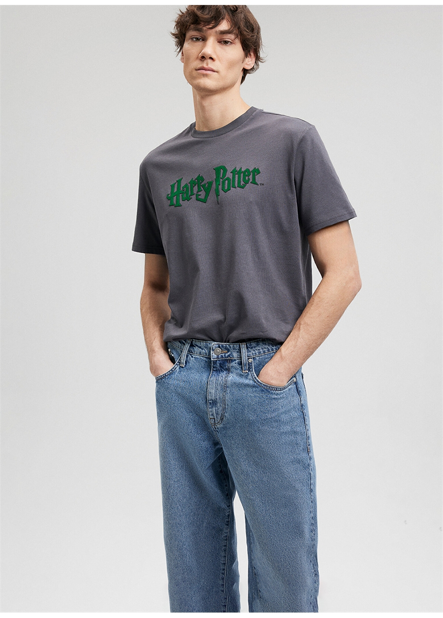 Mavi Düz Yaka Düz Antrasit Erkek T-Shirt M0611978-80106_HARRY POTTER TİŞÖRT_0