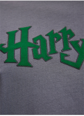 Mavi Düz Yaka Düz Antrasit Erkek T-Shirt M0611978-80106_HARRY POTTER TİŞÖRT_5