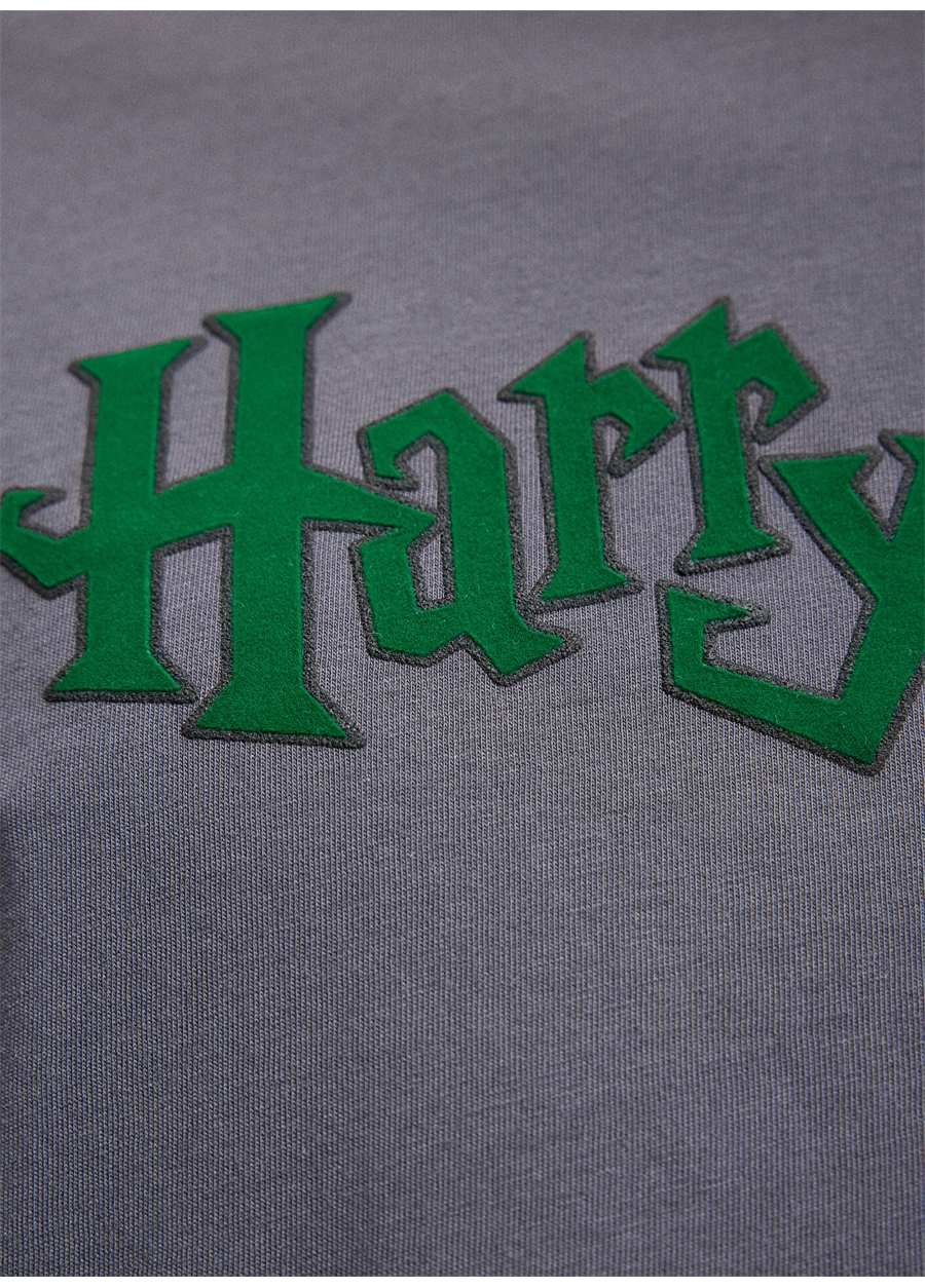 Mavi Düz Yaka Düz Antrasit Erkek T-Shirt M0611978-80106_HARRY POTTER TİŞÖRT_5