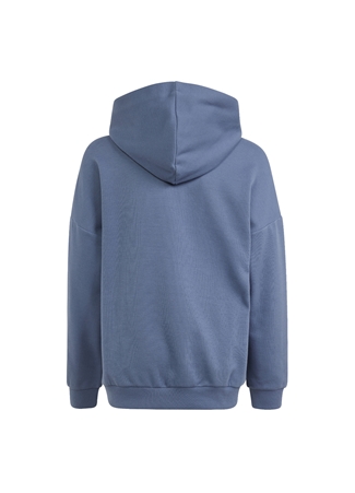 Adidas Düz Erkek Mavi Sweatshırt IR8306-U FI LOGO HD_4