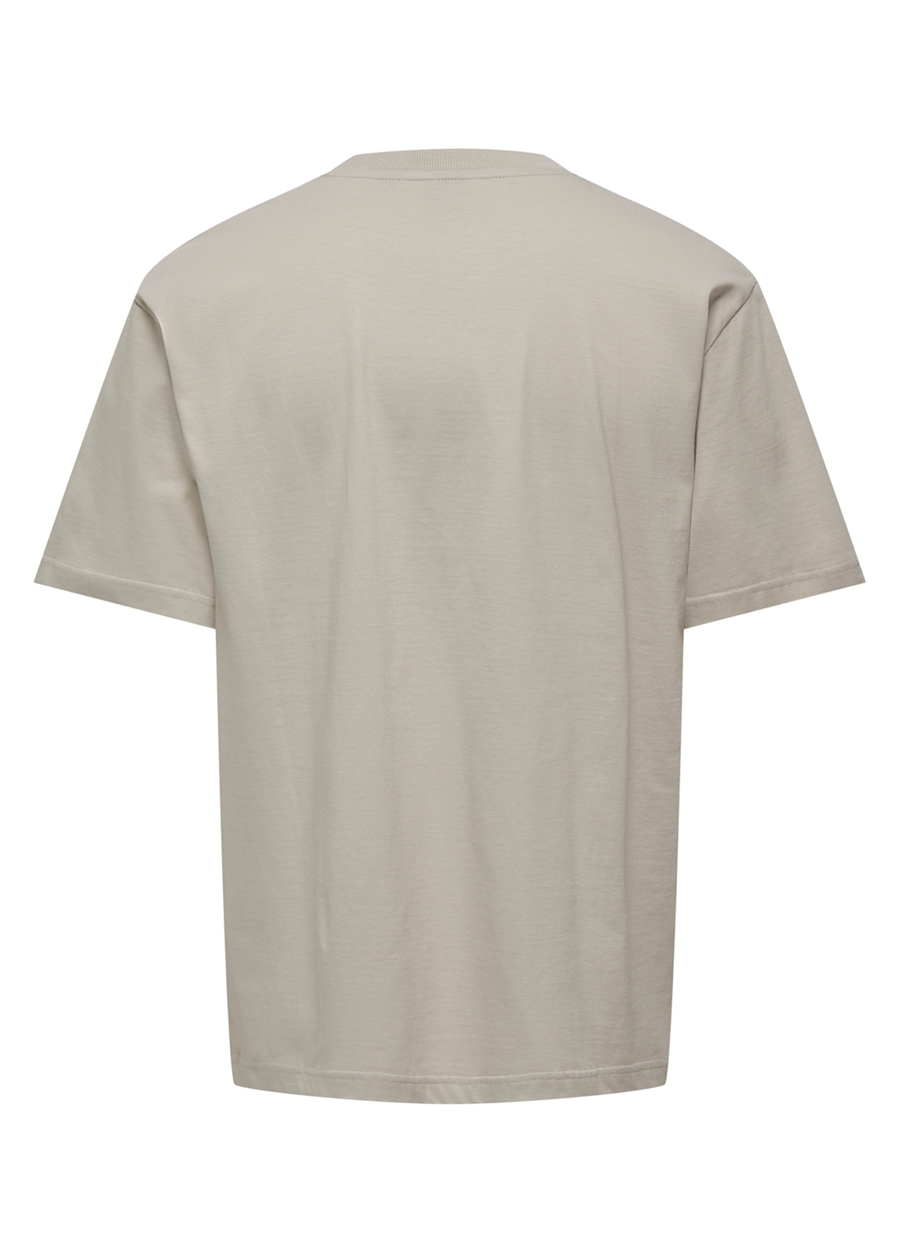 Only & Sons O Yaka Baskılı Taş Erkek T-Shirt ONSLAWSON LIFE RLX VARISTY SS TEE