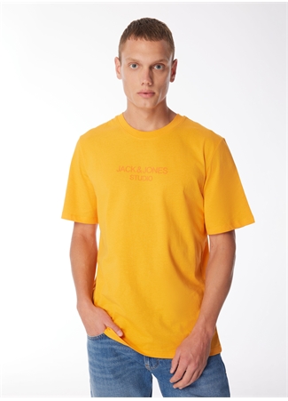 Jack & Jones Yuvarlak Yaka Turuncu Erkek T-Shirt JPRBLULOUI TEE SS CREW NECK EXC