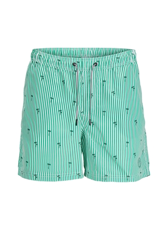 Jack & Jones Yeşil Erkek Şort Mayo JPSTFIJI JJSWIM SMALL STRIPES LY SN_0