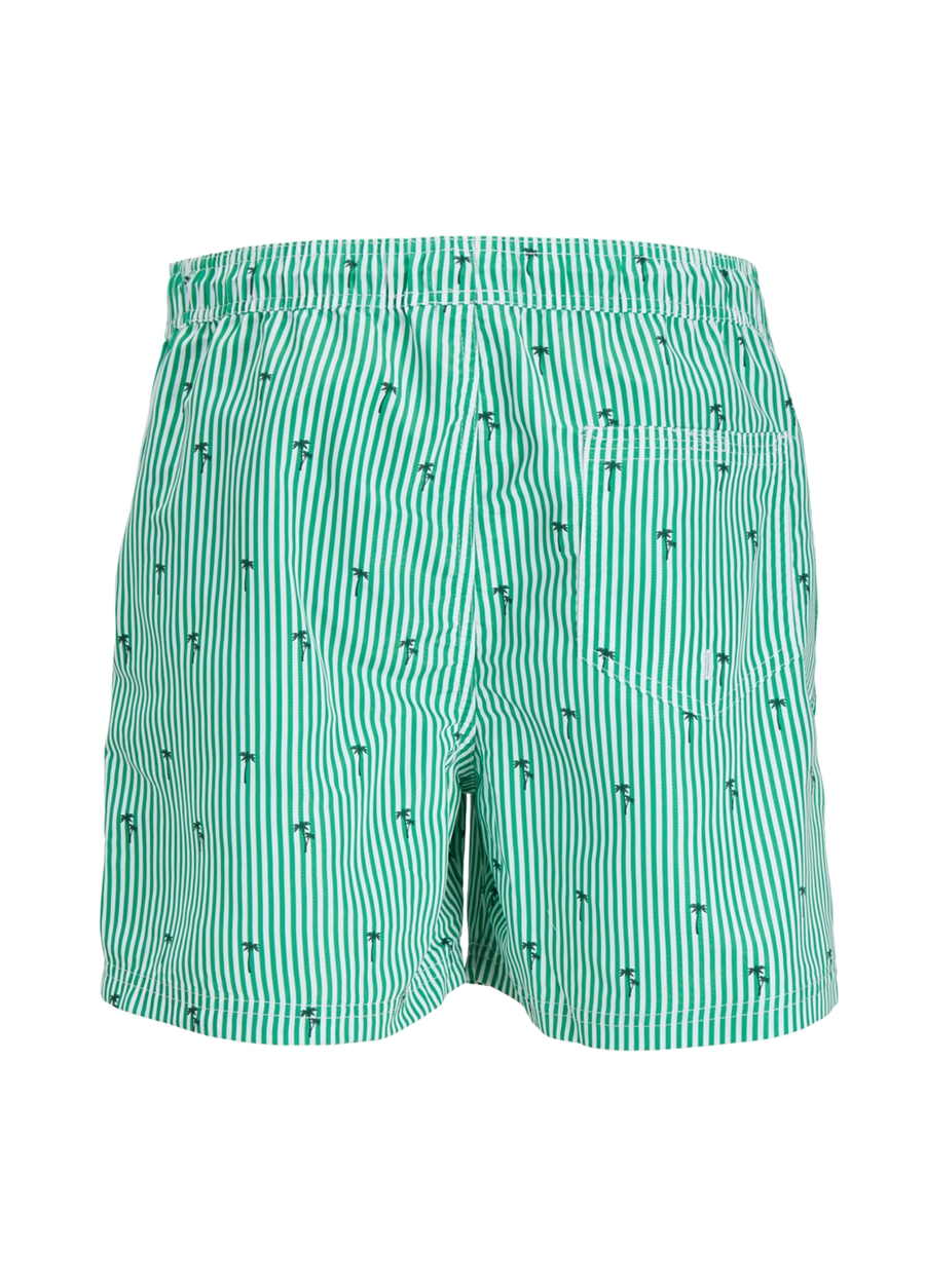 Jack & Jones Yeşil Erkek Şort Mayo JPSTFIJI JJSWIM SMALL STRIPES LY SN_1