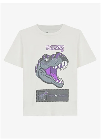 Skechers Erkek Çocuk T-Shirt SK241093-102-Graphic Tee B Shrt Slv_0