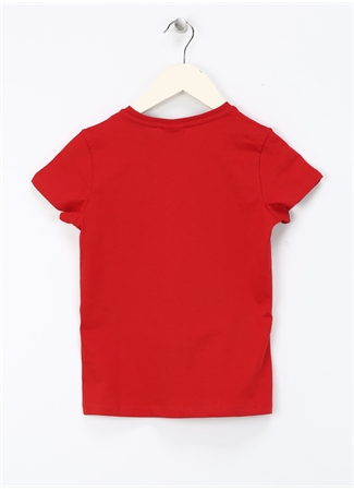 U.S. Polo Assn. T-Shirt_1