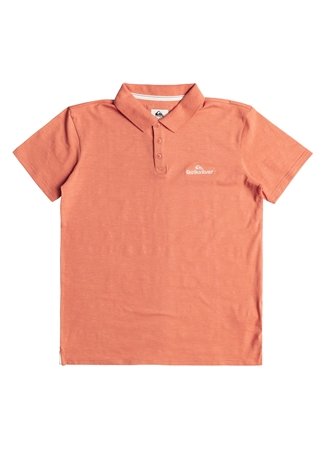 Quiksilver Pembe Erkek Normal Kalıp Baskılı Polo T-Shirt EQYKT04334_POLO STRETCH_2