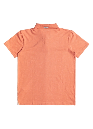 Quiksilver Pembe Erkek Normal Kalıp Baskılı Polo T-Shirt EQYKT04334_POLO STRETCH_3