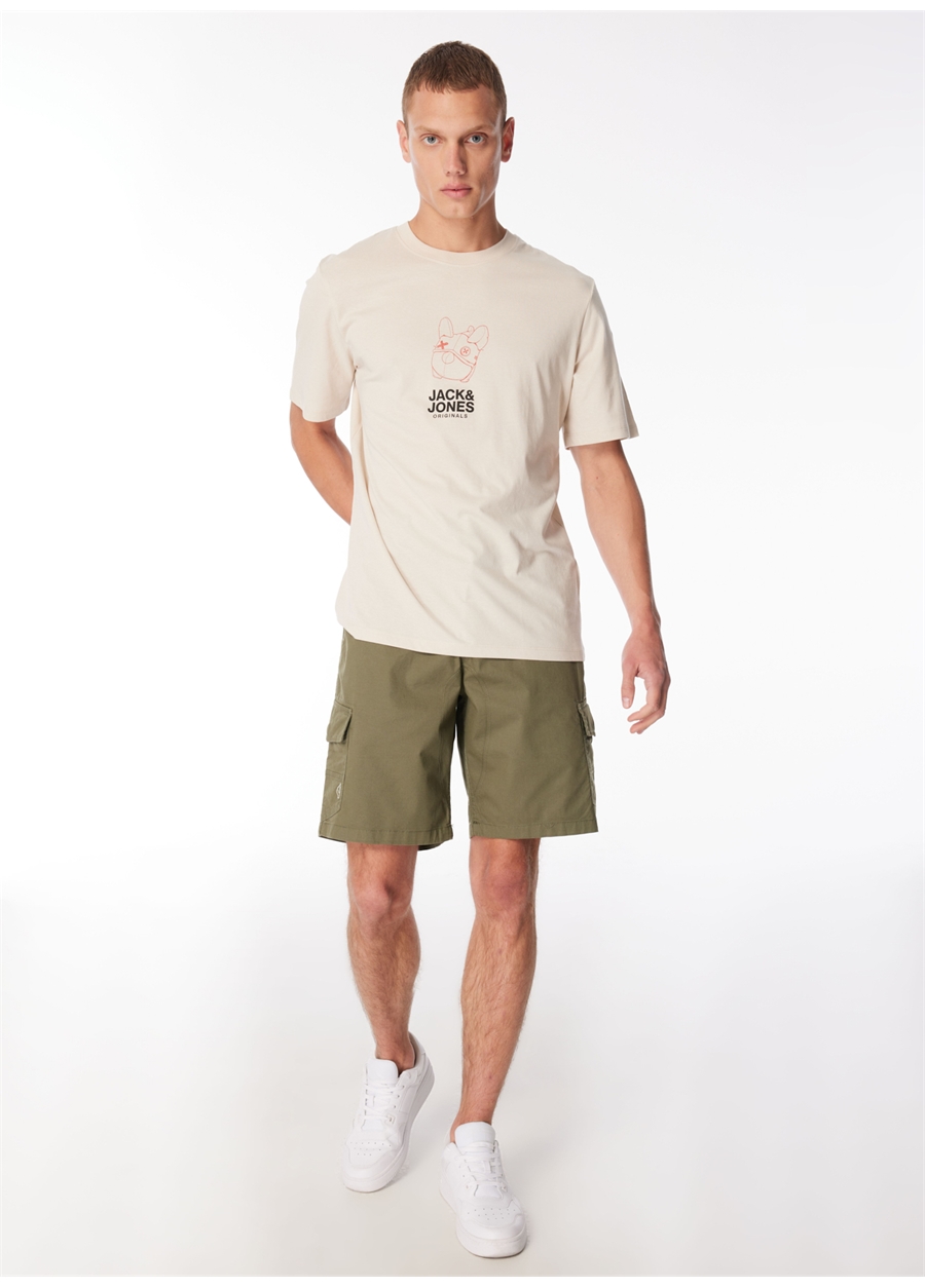 Quiksilver Yeşil Erkek Şort EQYWS03861_MW CARGO SHORT_1