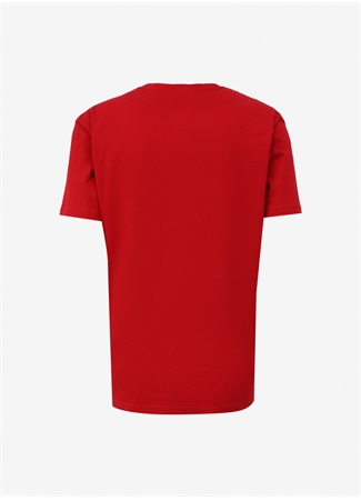 Quiksilver Kırmızı Erkek O Yaka Normal Kalıp Baskılı T-Shirt AQYZT09604_QS PETROGLYPH LOGO DNA_6