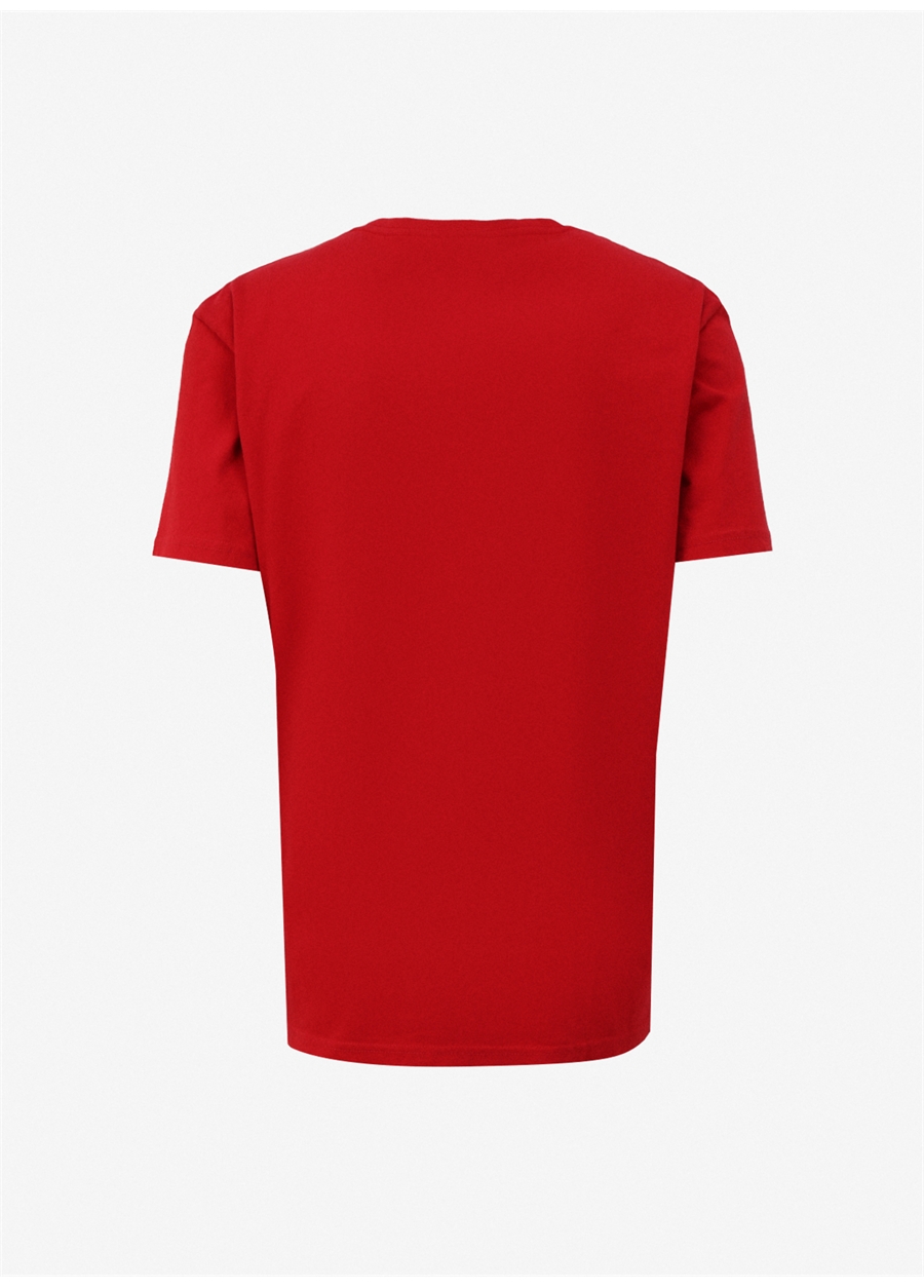 Quiksilver Kırmızı Erkek O Yaka Normal Kalıp Baskılı T-Shirt AQYZT09604_QS PETROGLYPH LOGO DNA_6