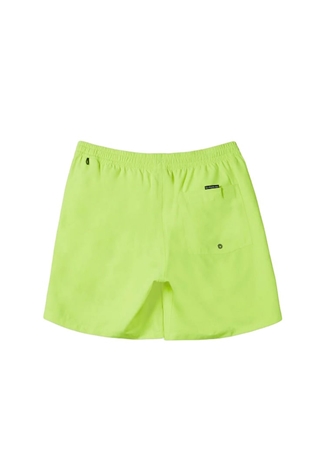 Quiksilver Yeşil Erkek Şort Mayo AQYJV03153_EVERYDAY SOLID VOLLEY 15_1